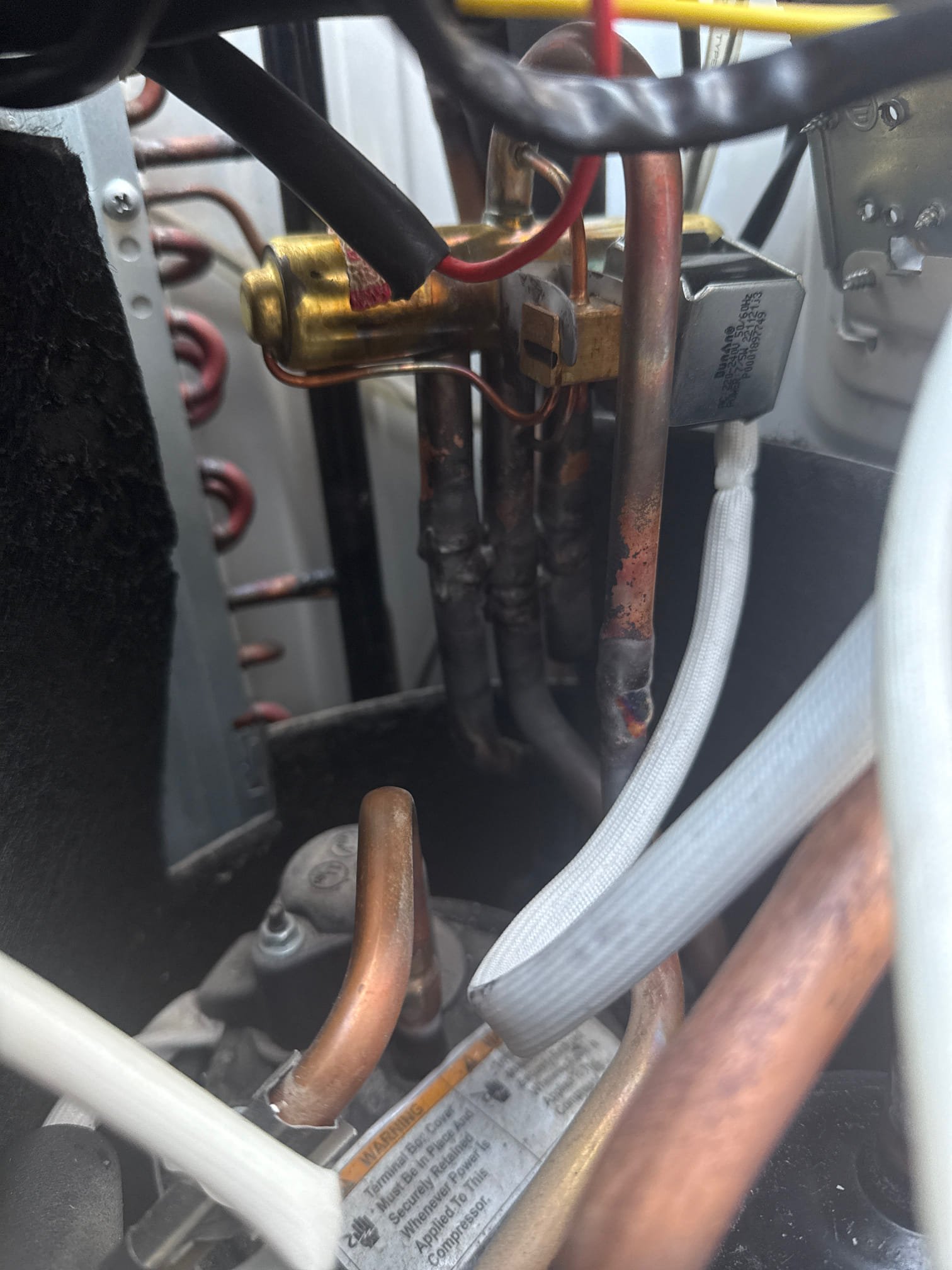 Affordable basement mold recovery: Discover if your mold diagnosis qualifies for government tax credits. Protect your home and health with expert, budget-friendly mold remediation services.