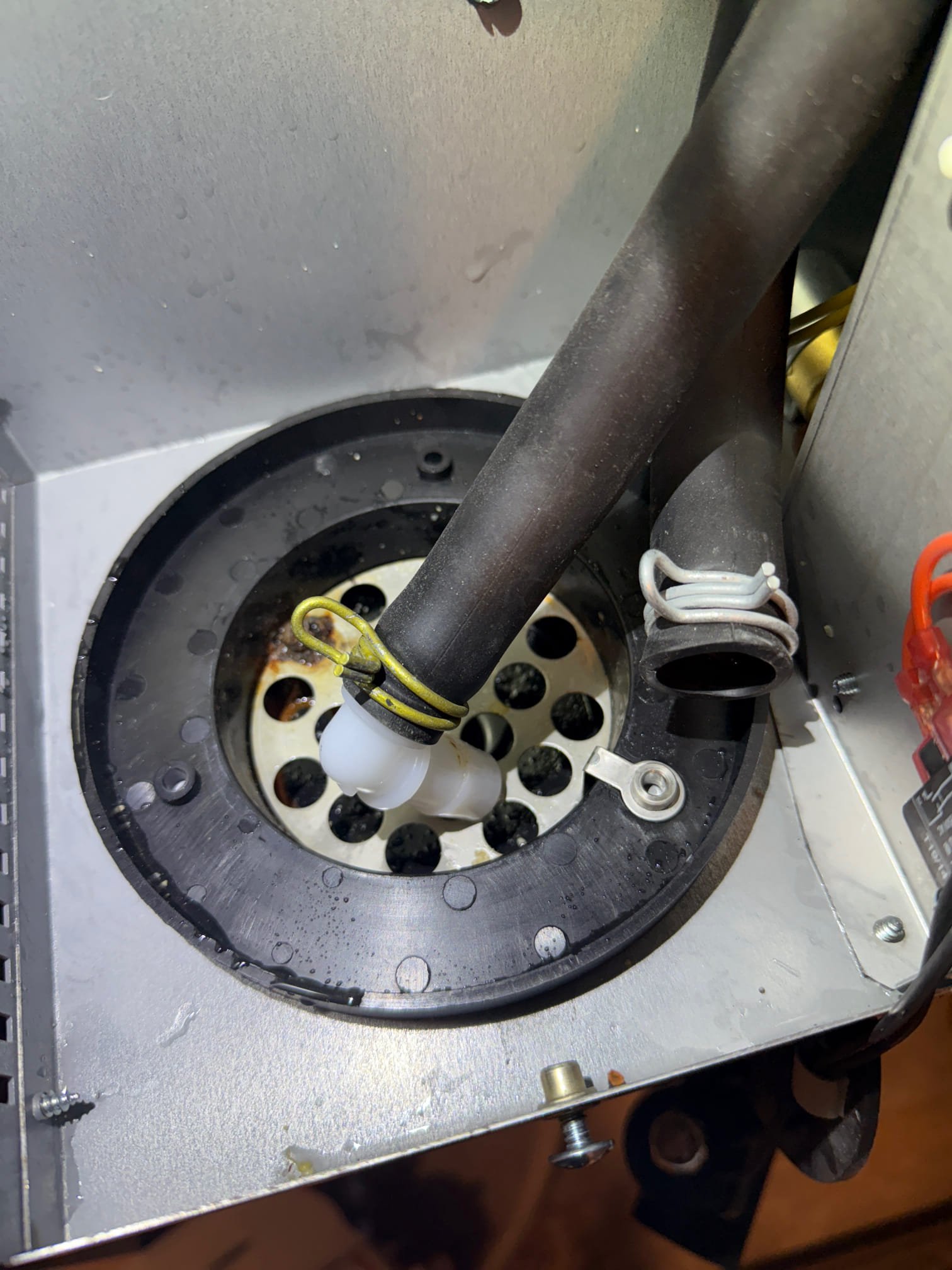 Image depicts potential residential bathroom mold damage near Cedar Hills, Utah, possibly linked to a stinky bathroom sink. Contact a local Cedar Hills mold remediation specialist for emergency residential bathroom mold damage assessment and repair.