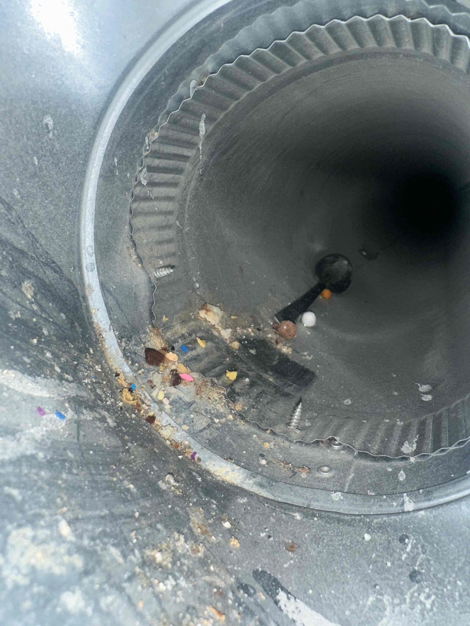 Professional mold odor removal installation for toxic mold remediation. Find the best mold removal companies to eliminate mold and its unpleasant smells, ensuring a healthy and safe environment.