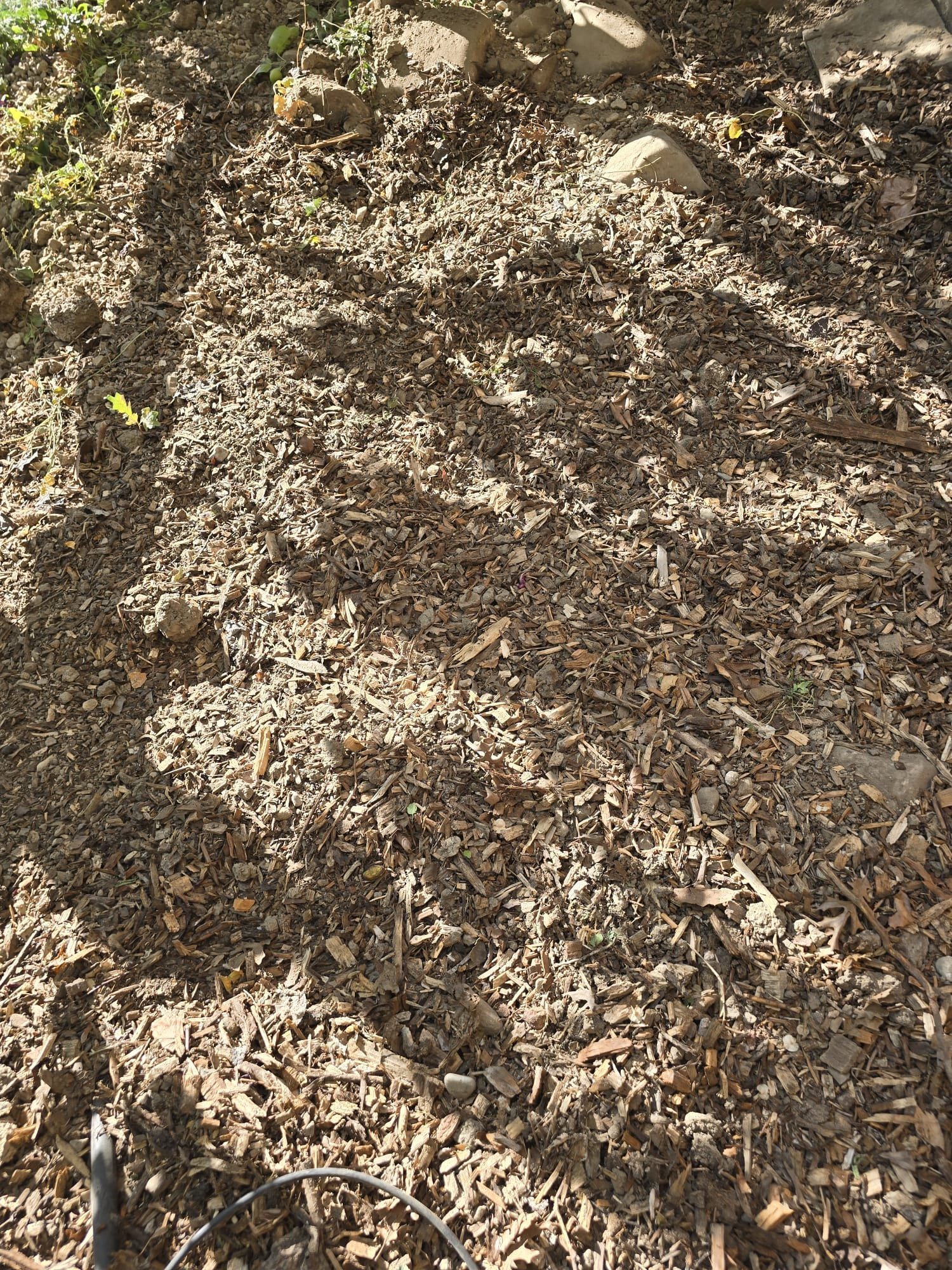 Whole house UV water purification system, ensuring clean water throughout the home. Protect your property from water damage. Professional water filter installation and residential ceiling water damage cleanup services available.