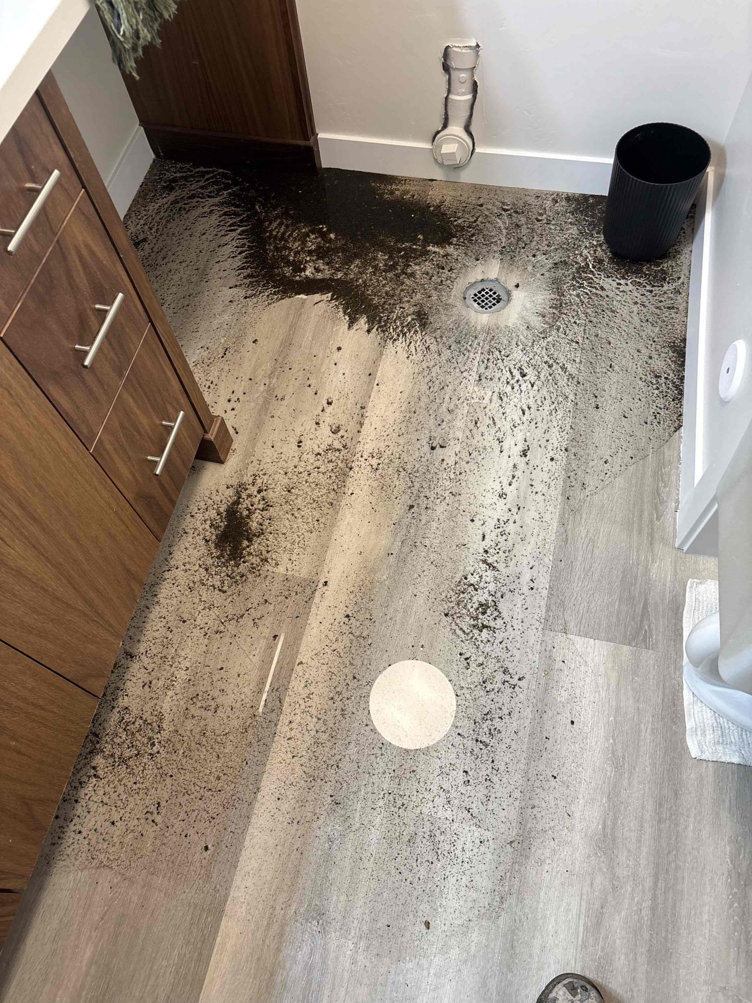 Protect your home's water and air quality with whole house sediment filters, similar to air purifiers with cleanable filters, preventing issues like those requiring 24-hour residential sewage backup cleanup. Ensuring clean water and air safeguards your property and health.