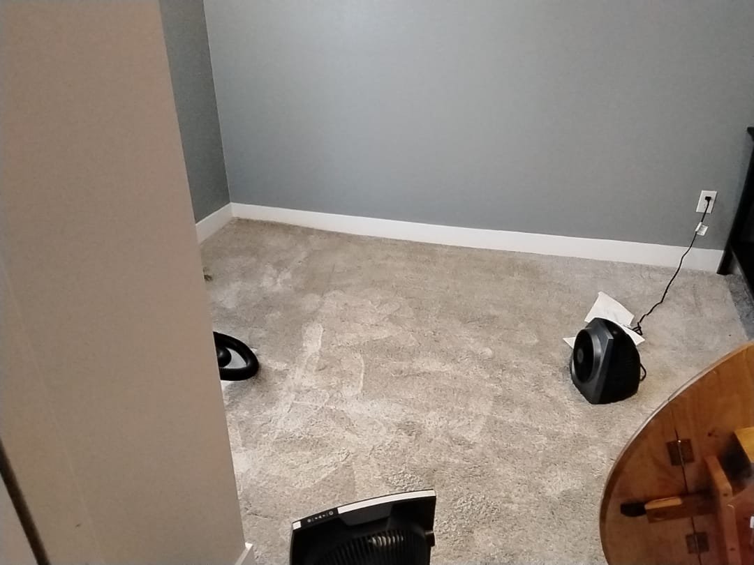 Basement storm and disaster cleanup estimate image showcasing the aftermath of a flood, highlighting a grease-stopped-up sink as a common problem. Emphasizes the need for professional basement storm and disaster cleanup services to restore and prevent further damage.