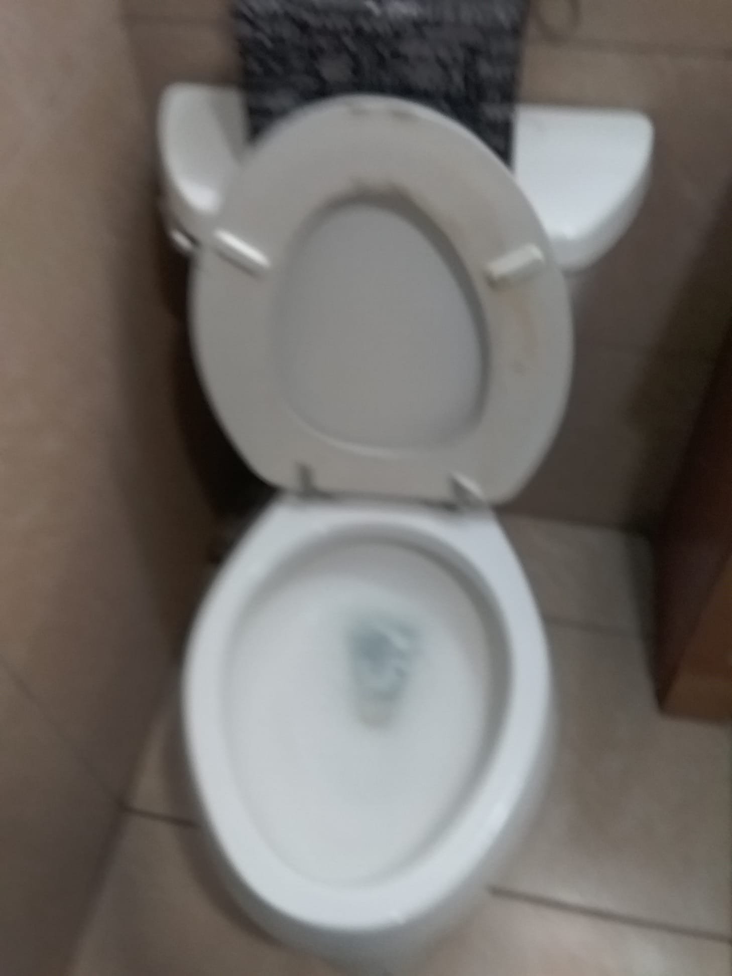 Image depicting toilet tune-up installation, addressing common toilet bowl problems and highlighting toilet tune-up maintenance for optimal performance and longevity. Focuses on plumbing solutions and ensuring efficient toilet operation.