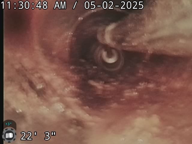 Image depicting signs of flood damage indicating the need for professional flood remediation. Visual cues may include visible mold growth, water stains, structural damage, and dampness, highlighting the importance of mold remediation after a flood and ongoing flood remediation maintenance to prevent further issues.