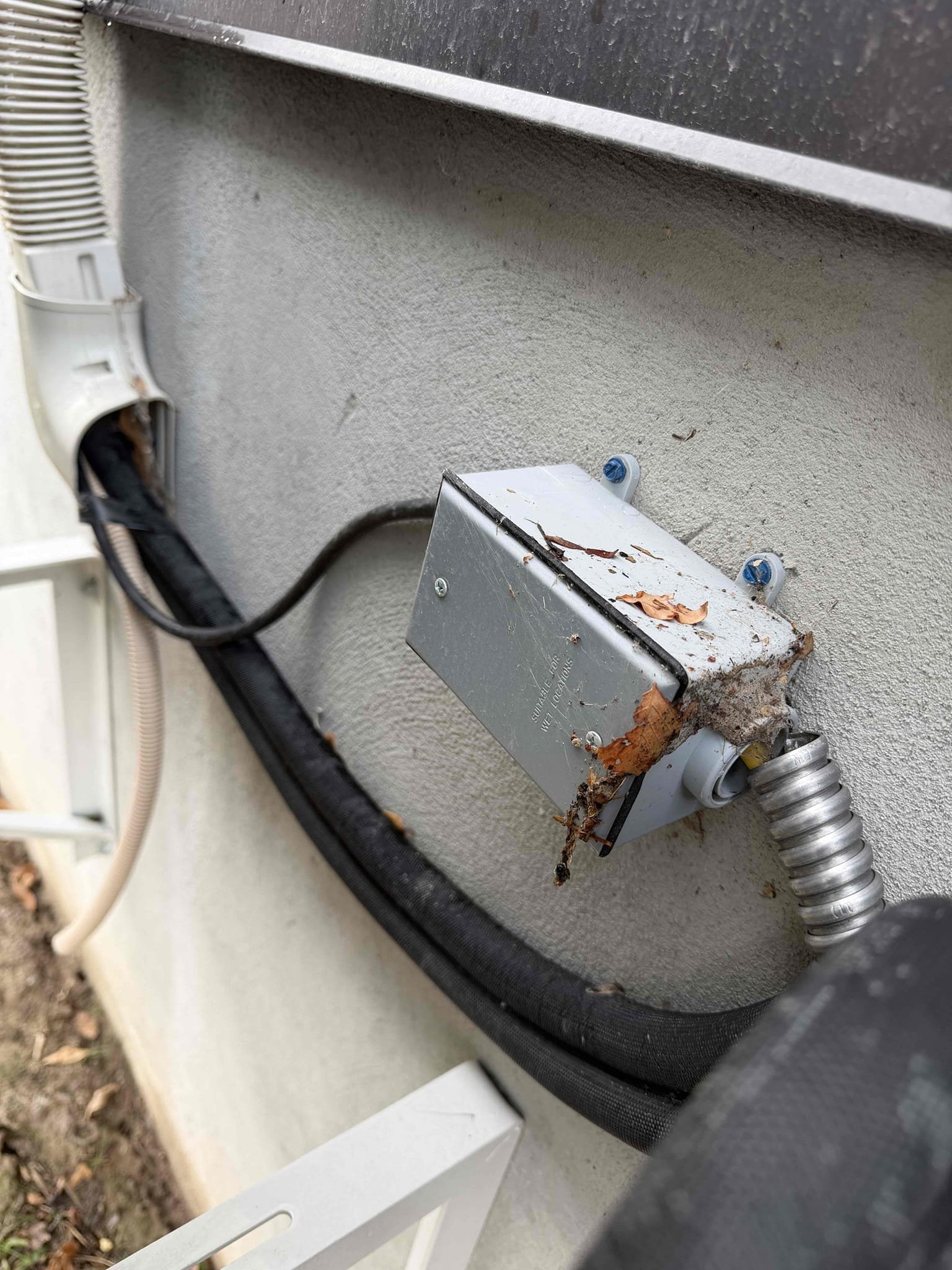 Basement mold recovery is essential for a healthy home. Explore government tax credits for mold remediation services and ensure a safe, mold-free basement. Learn about the benefits of professional mold removal and remediation.