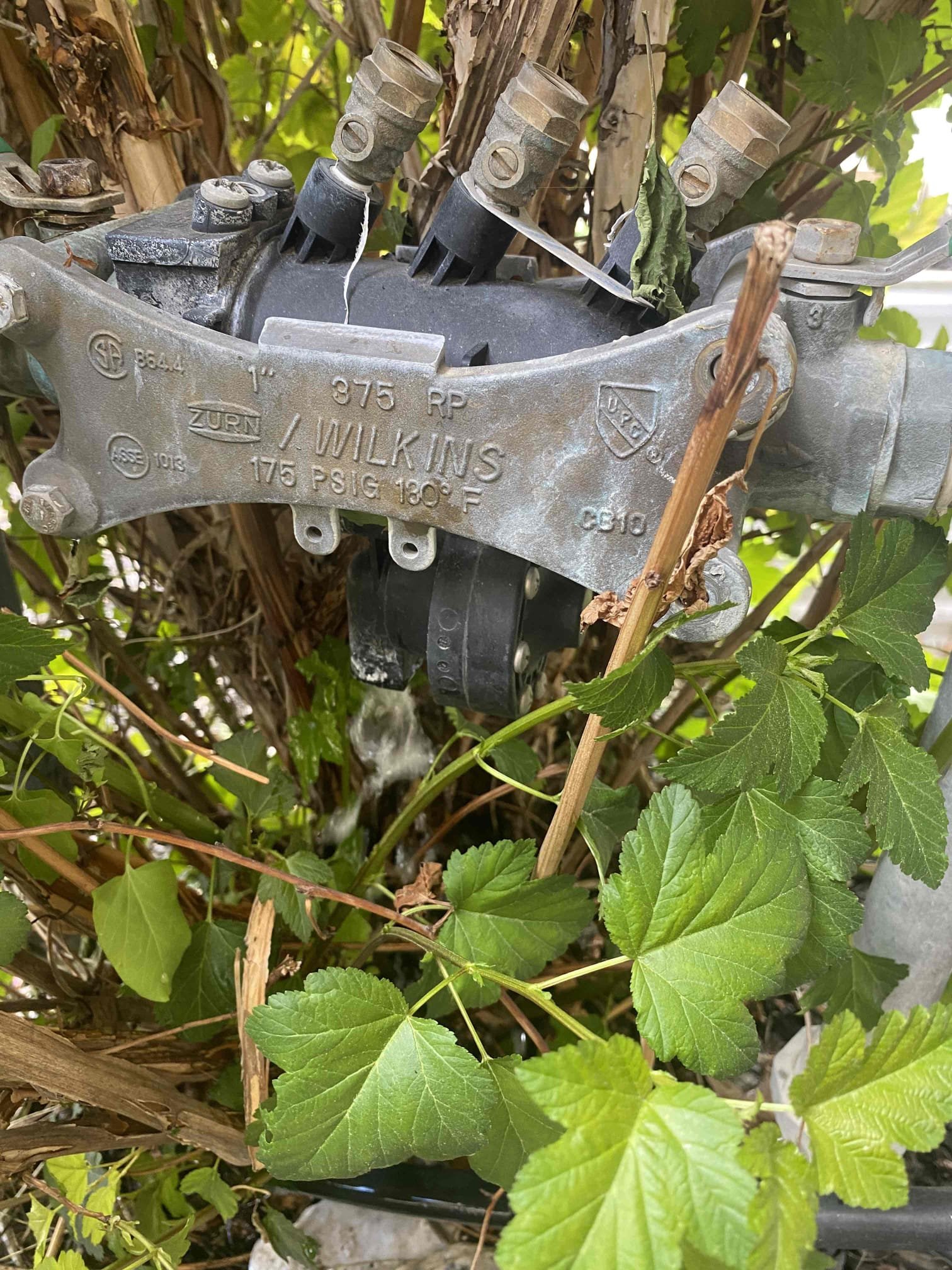 Ceiling water damage cleanup near a well water softener system. Professional repair services addressing water stains and structural issues to restore your ceiling after leaks or plumbing failures.