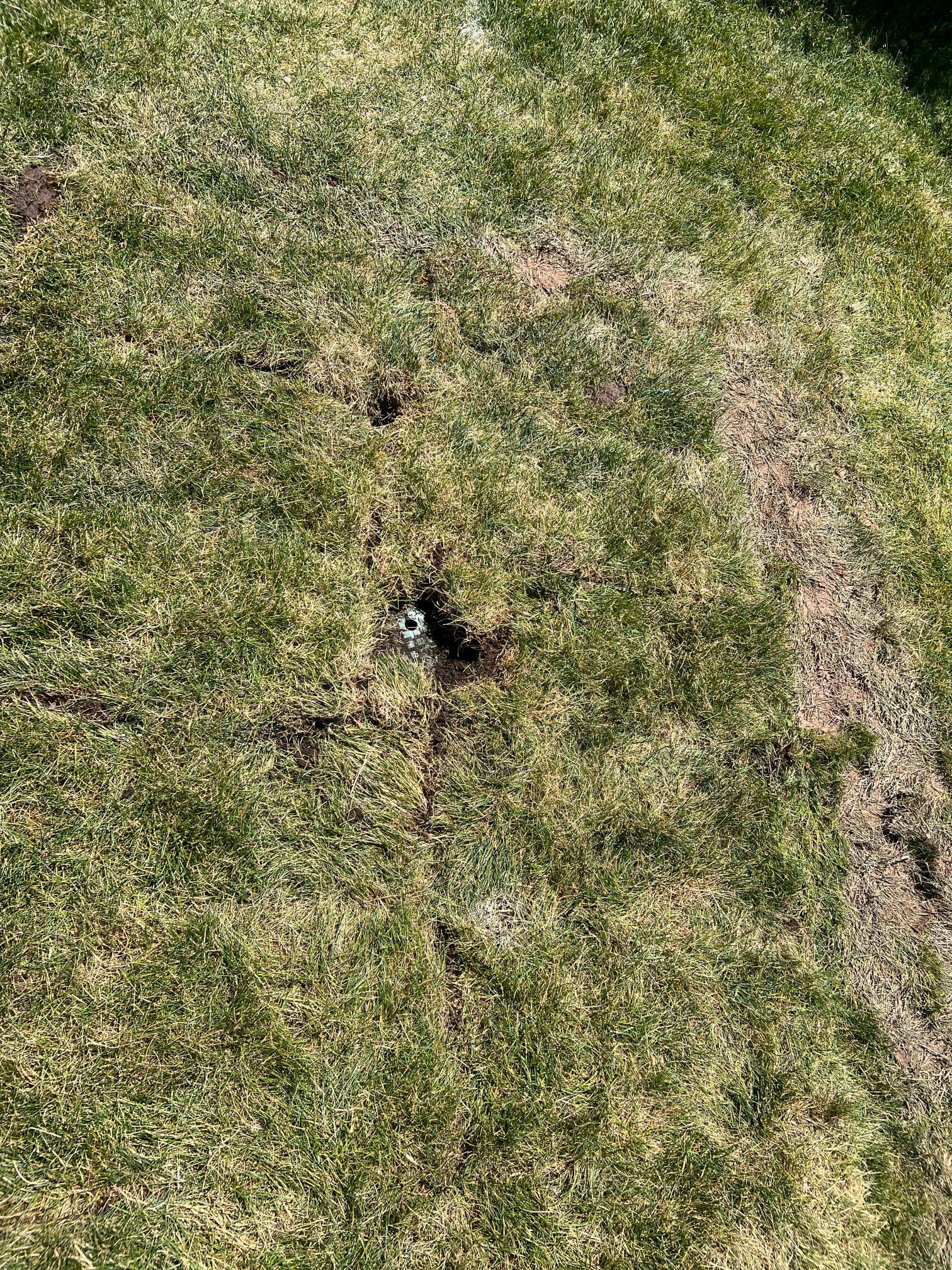 Clean floors gleam after professional cleaning, essential for homes protected by whole-home water filtration systems. Addressing water damage promptly helps avoid costly residential flood cleanup. Hire floor cleaners for a healthy and well-maintained home.