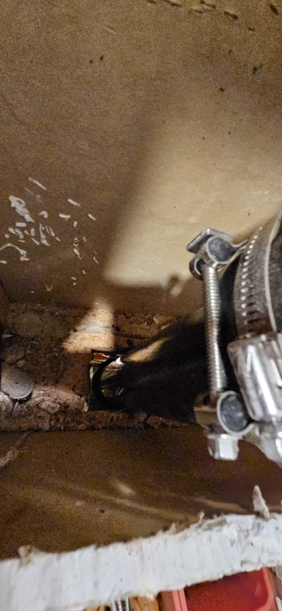 Concerned homeowner searches for septic drain field location, crucial for understanding sewer main installation impact. Image relates to septic tank and drain field diagram, essential for property maintenance and avoiding costly repairs.