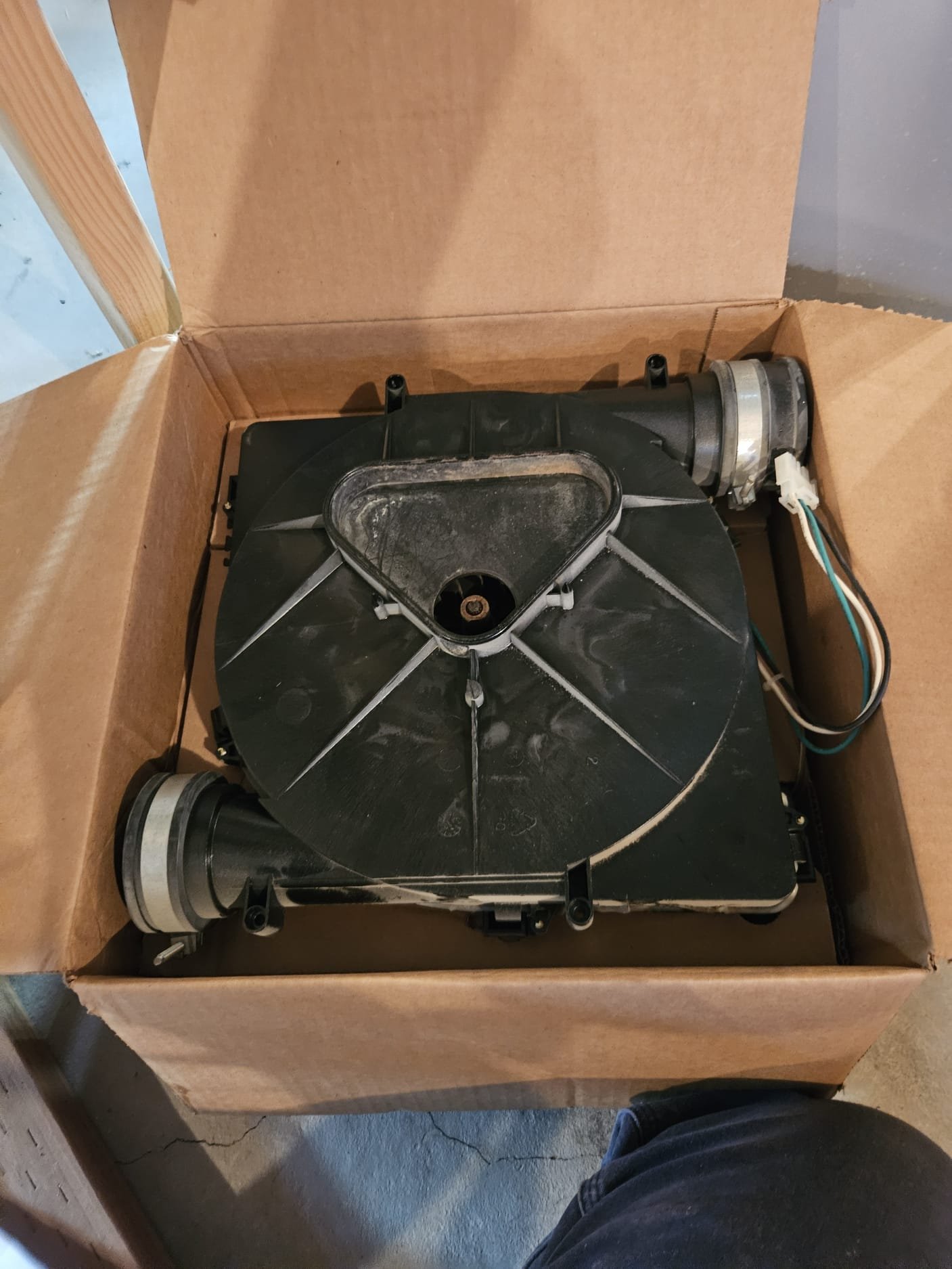 Residential mold repair inspection. Home inspector assessing mold damage in a house, ensuring proper mold remediation and repair services for a healthy home environment.