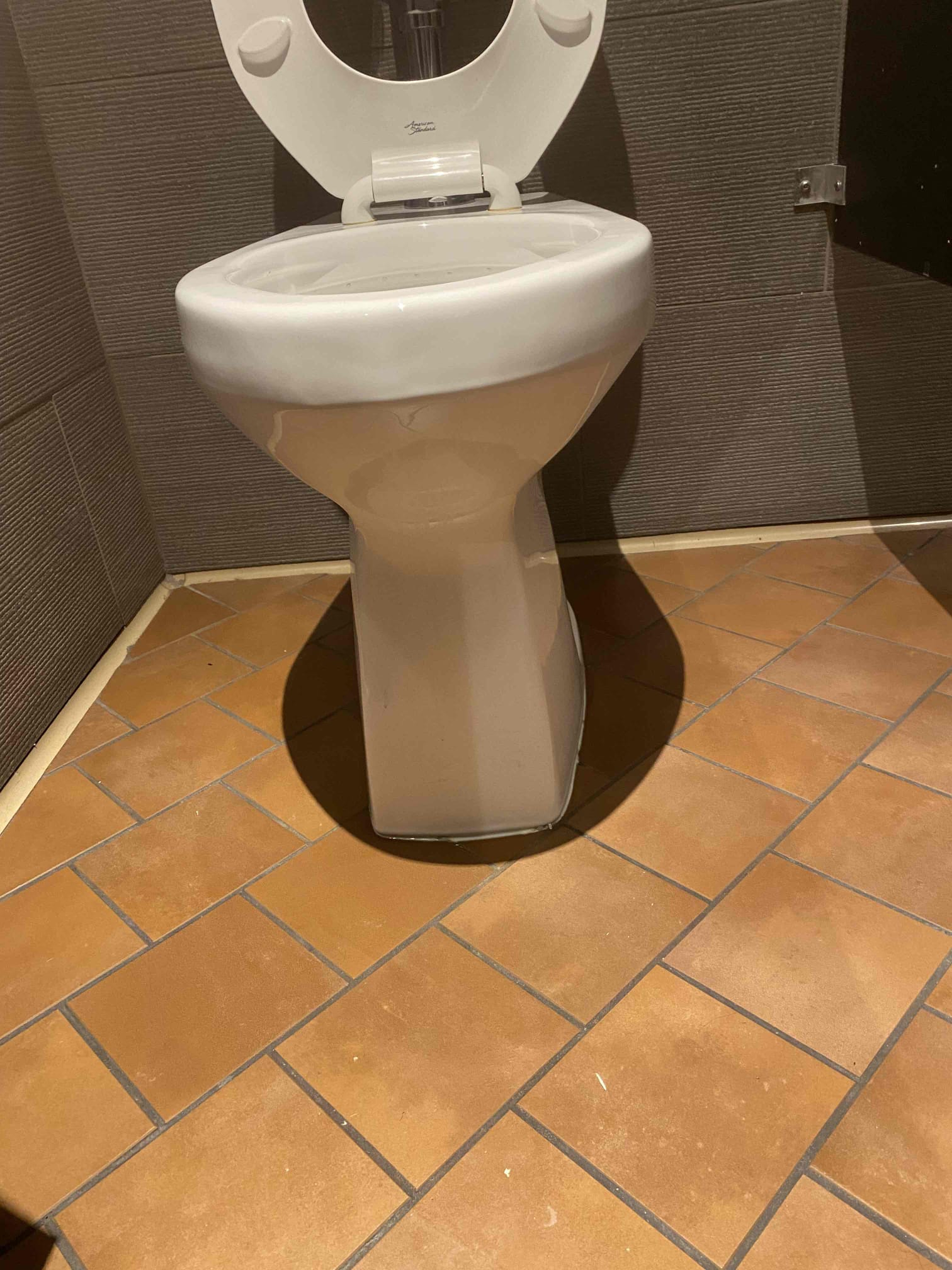 Commercial bathroom stalls featuring durable hardware. Mold damage is a concern in these environments, highlighting the importance of professional mold remediation services.