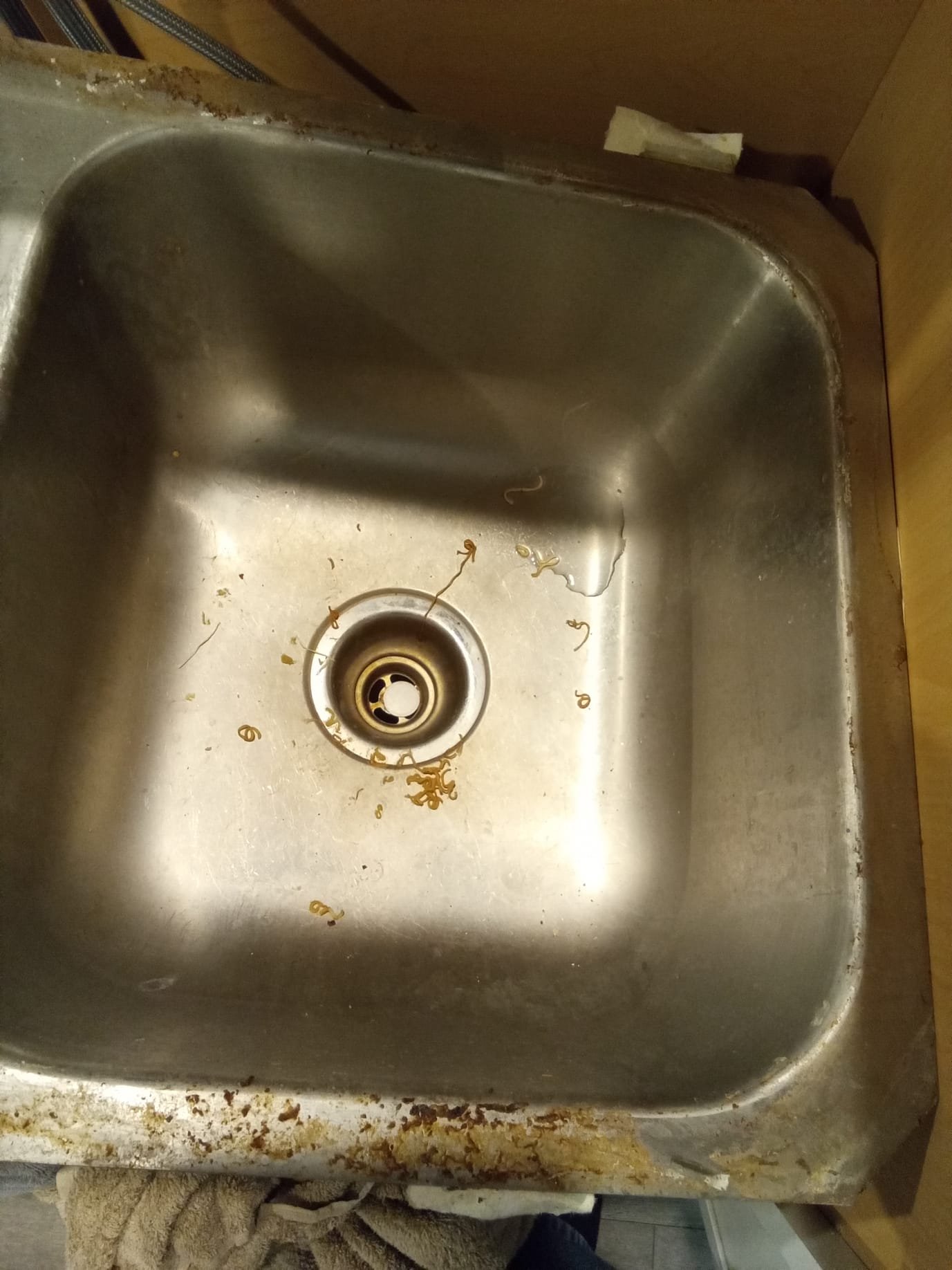 Local drain cleaning service unclogging a residential drain. Professional maintenance and repair for a smoothly flowing home plumbing system.