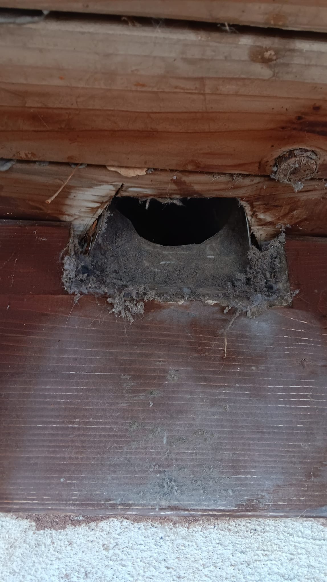 Image of a Springwell CF1 whole house water filter, essential for protecting plumbing and drywall from water damage. A clean water system prevents sediment buildup and helps avoid costly emergency drywall water damage cleaning and related drain cleaning services.