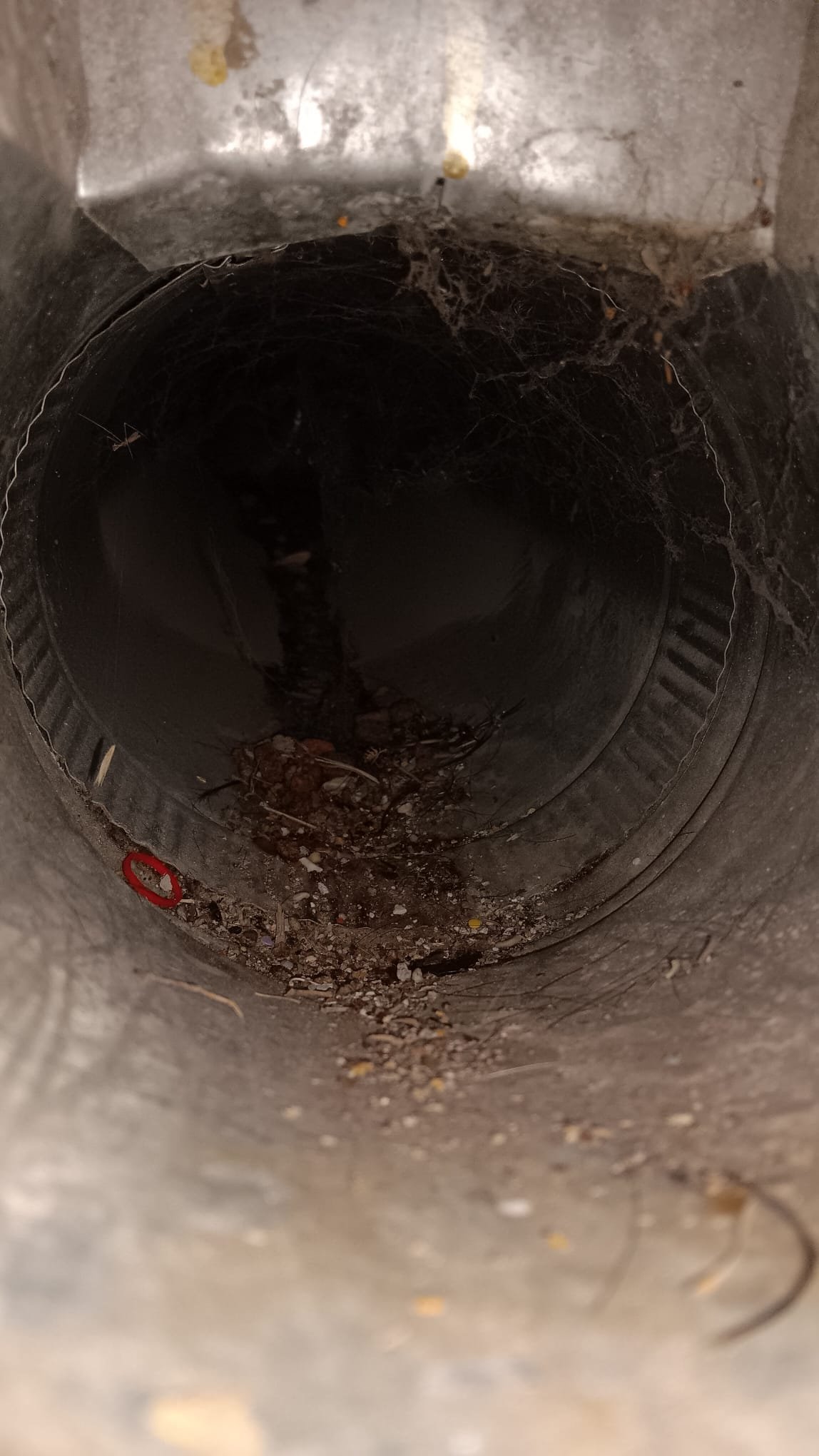 Whole-house UV air cleaner system providing comprehensive air purification. Effectively filters smoke, benefiting kitchen air quality and reducing the need for residential smoke cleaning maintenance.