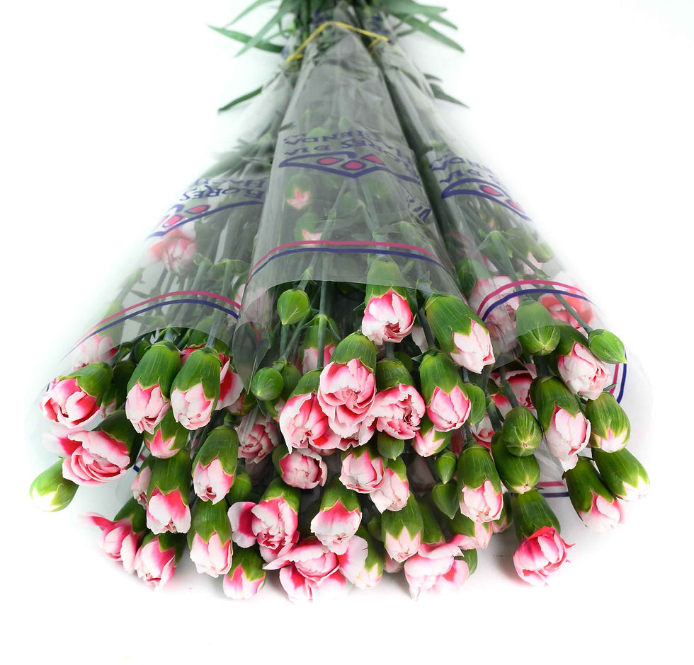 Miniatura: Valentine