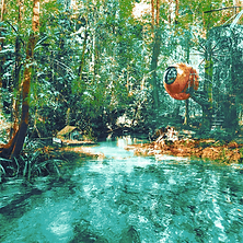 COLORforestlake.png