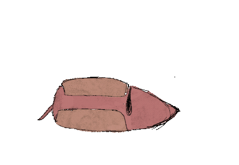 weenietransparentsleepy.gif
