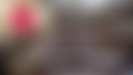 שיתוק פעילות הכנסת - שאלות ותשובות