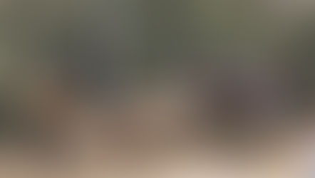 לעצור אלימות מתנחלים שמובילה לגירוש ולעקירה של קהילות פלסטיניות