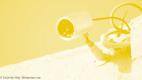 אכיפת חוקי החניה באמצעות מצלמות מעקב