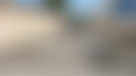 חסימת שכונות ערביות בעיר לוד