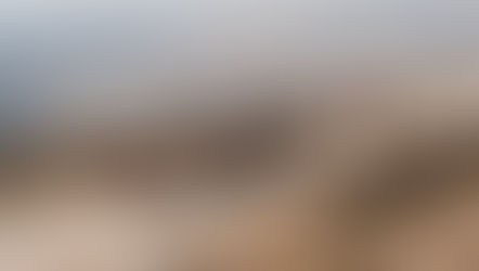 אלימות ואיומים מצד חיילים כלפי קהילה פלסטינית באלנכב שבגדה המערבית  