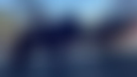 פרשים בהפגנה