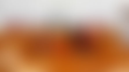 לבטל את התיקון לחוק האזרחות החדש 