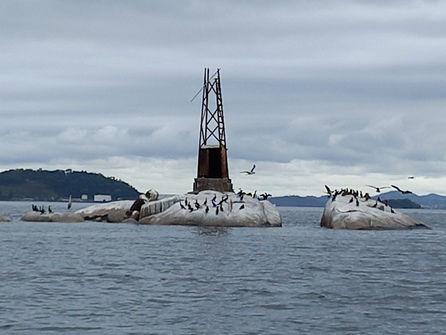 2 20211017_115140.jpg