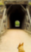 ree