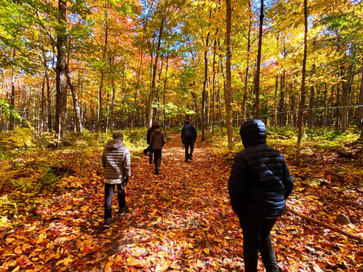Le pain de sucre | Cap-Sainte-Ignace