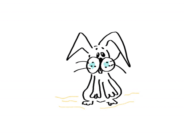 Bindie, la mascota de Binden Group con zanahoria.