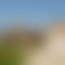 What Is a Zestimate? The Art of Gaming Zillow's Home Value Algorithm