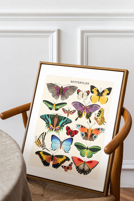 Vintage Butterflies