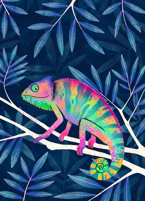 One in a chameleon