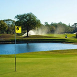 Cypress Creek.jpeg
