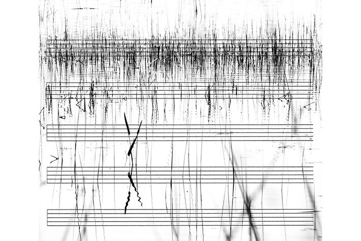 Noise image