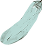 Zucchini