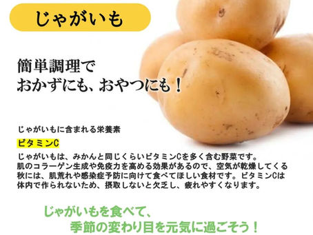 10月のレシピ【じゃがいも】