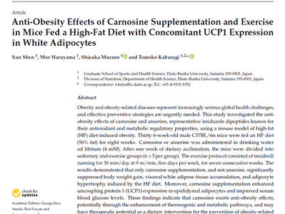 カルノシンの肥満抑制効果を報告した申洵さんの研究が論文に掲載されました!