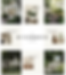 Santa Barbara Museum of Art