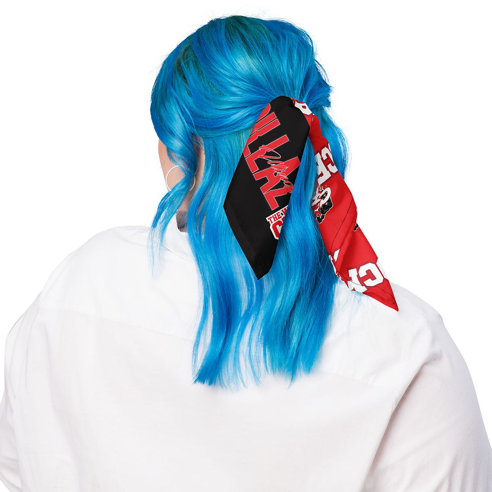 Thumbnail: CFMC Illinois bandana