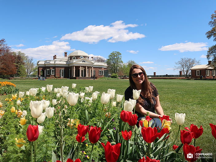 Thomas Jefferson's Monticello, Charlottesville, Virginia
