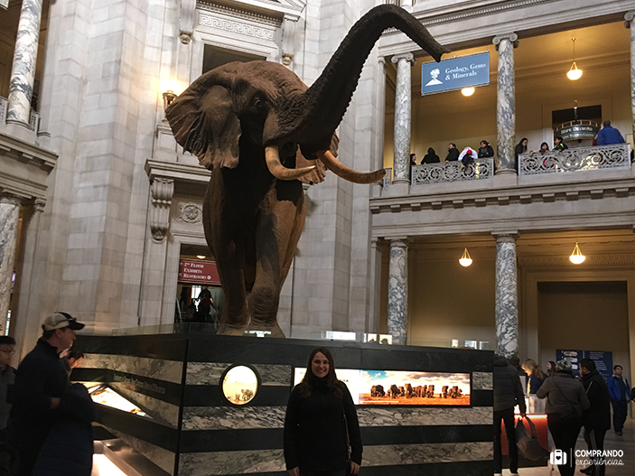 Smithsonian National Museum of Natural History, Washington D.C.