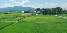 DSC_6330_edited_edited.jpg