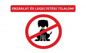 ebzarlat.jpeg