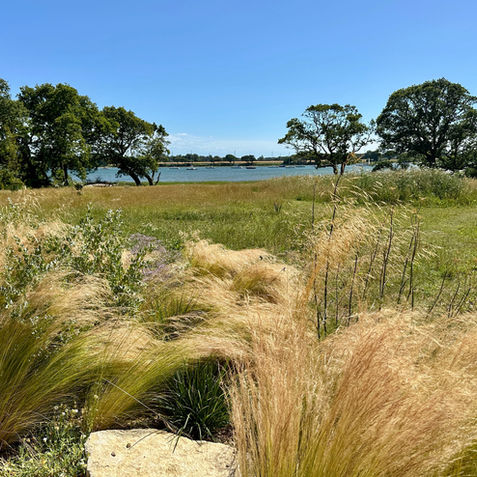 View from the garden to the sea with ornamental grasses in the foreground.
