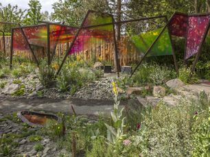 The Kings Trust: Gold medal for King's Trust Garden Seeding Success at RHS Chelsea Flower Show