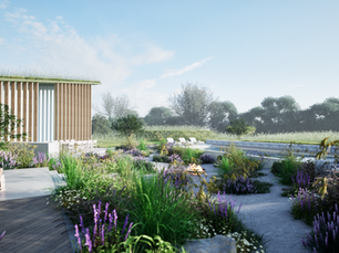 Garden Design for Paragraph 84: Why Early Landscape Design Makes All the Difference