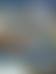 2024 Builders Competition Gold Medal Winners