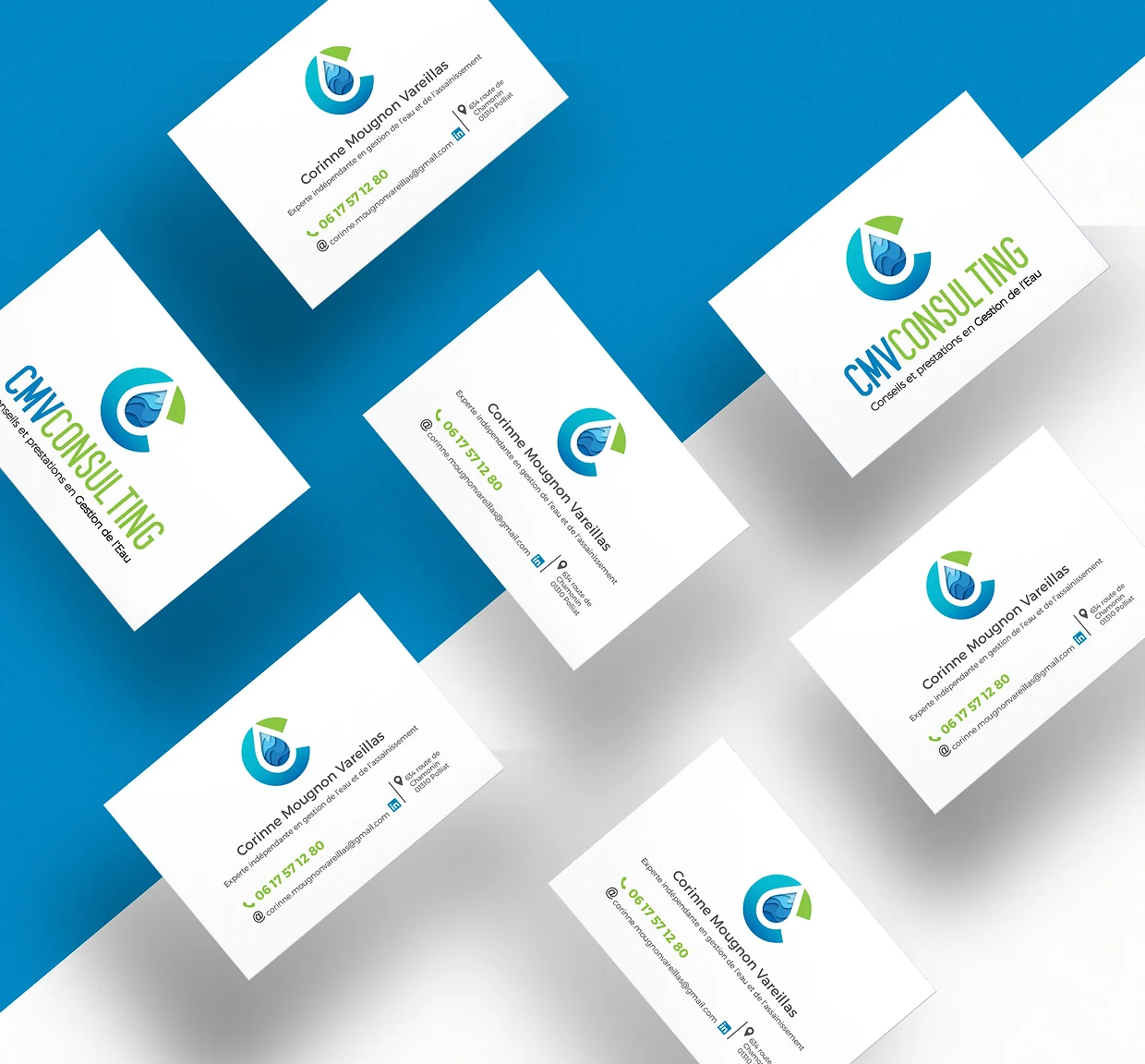 Carte de visite CMV Consulting